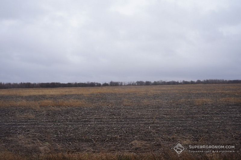 Ви зараз переглядаєте Уряд затвердив порядок віднесення земель до зон ризикованого землеробства: які критерії