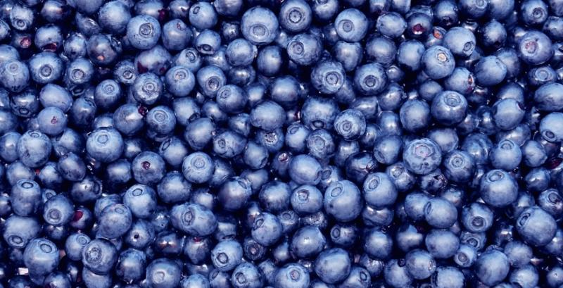 В профільній асоціації розповіли про ключові ризики для лохини у сезоні 2026