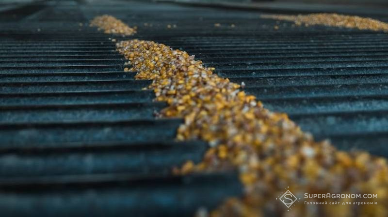 Ви зараз переглядаєте Виявлено нестачу понад 100 тис. т зерна на елеваторі на Київщині, який повʼязують з ексміністром агрополітики