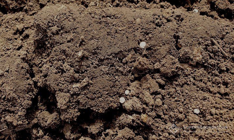 Ви зараз переглядаєте Війна в Ірані призведе до зниження врожайності в наступні роки