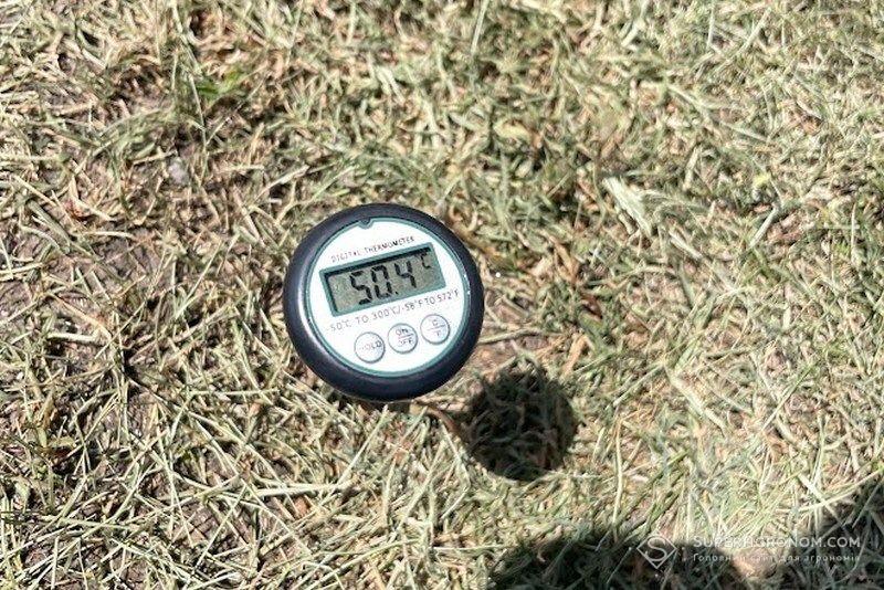 Ви зараз переглядаєте Знищення лісосмуг перетворює Україну на пустелю — Володимир Ярошенко