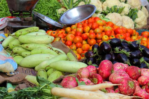 Ви зараз переглядаєте Провінція Бенгет на Філіппінах протестує систему мінімальних цін на овочі