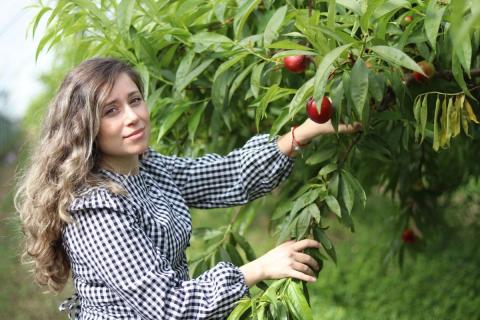 Ви зараз переглядаєте Сезон кам’яних фруктів розпочинається в іспанській провінції Уельва з перших нектаринів