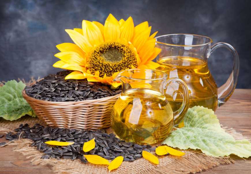 Ви зараз переглядаєте Ринок соняшнику: зростання цін на рослинні олії підтримує ціни в Україні