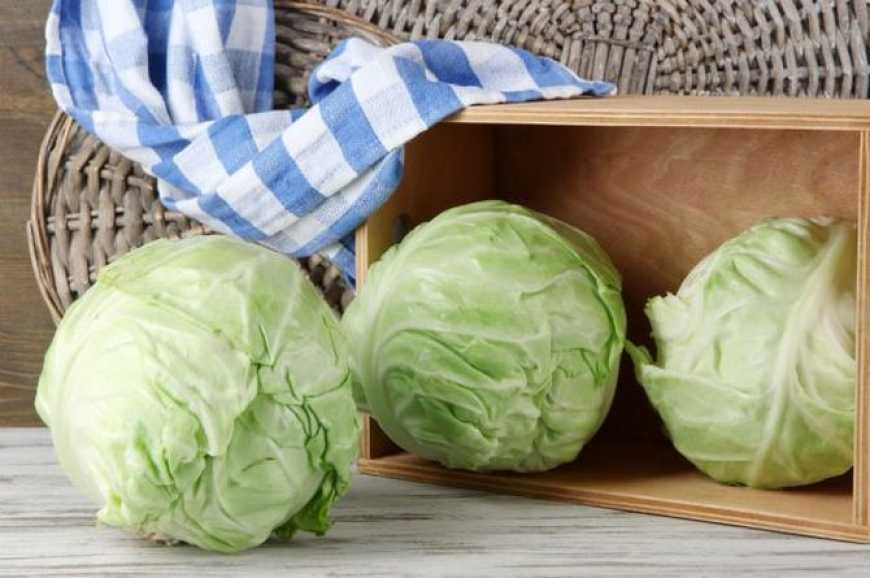 Ви зараз переглядаєте В Україні у продажу з’явилася рання капуста місцевого виробництва