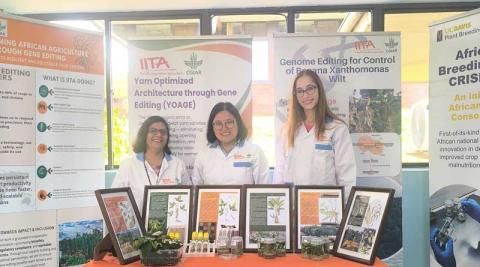 Ви зараз переглядаєте IITA та Bayer домовилися про дослідницьку співпрацю до 2028 року для селекції культур у країнах Африки на південь від Сахари