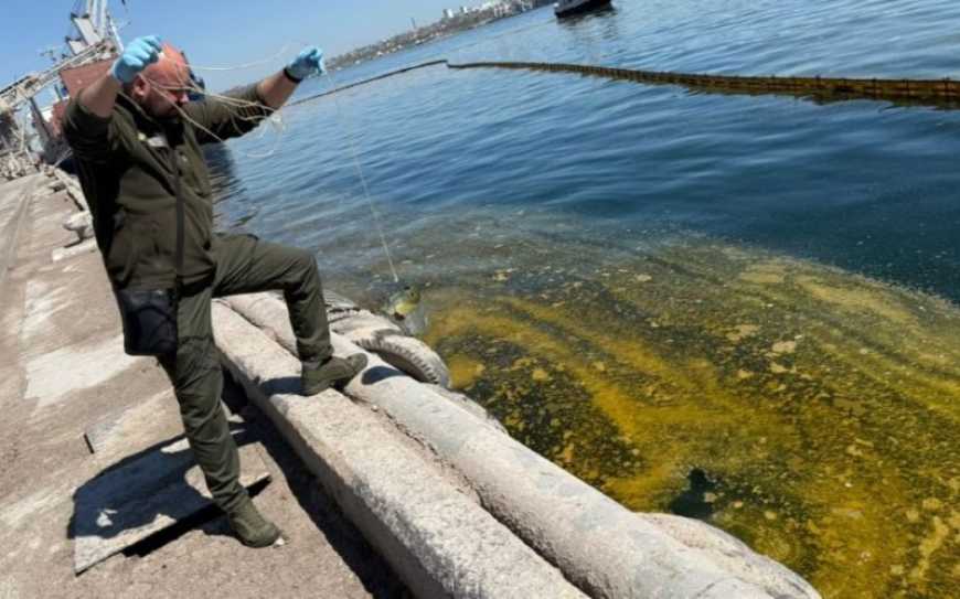 Ви зараз переглядаєте Через російську атаку зафіксовано розлив олії в акваторії порту Чорноморська