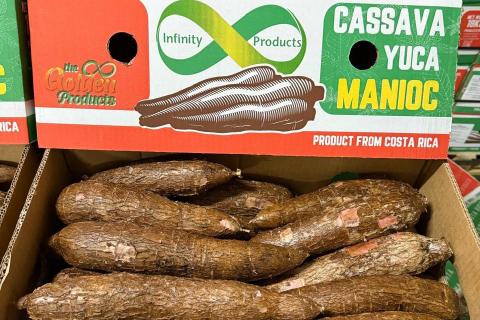 Ви зараз переглядаєте Експортер маніоки з Коста-Рики переходить на натуральний віск для ЄС і переводить обробки полів на дрони