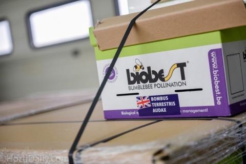 Ви зараз переглядаєте Biobest розширює дистрибуцію Plant Products у США