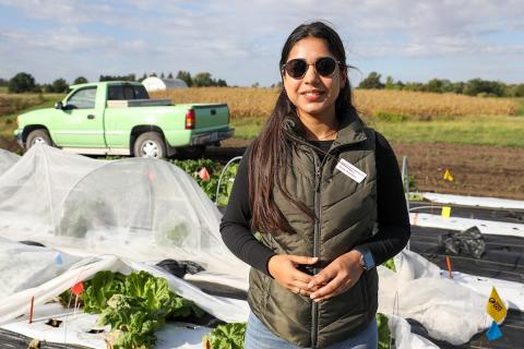 Ви зараз переглядаєте В Університеті штату Айова досліджують мезотунелі та органічні добрива для овочівництва