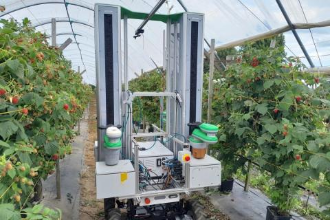 Ви зараз переглядаєте У Великій Британії Fieldwork Robotics і Dynium об’єдналися для розвитку автономних платформ у тепличному та позашляховому господарстві