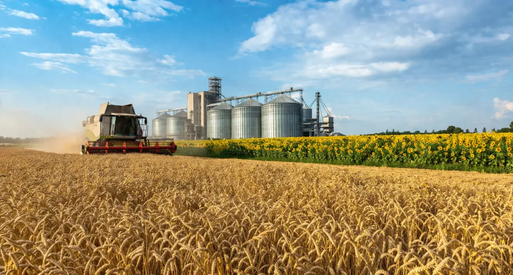 Ви зараз переглядаєте Стало відомо, як змінився ринок зернових та олійних в Україні