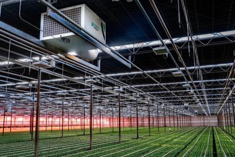 Ви зараз переглядаєте Van der Ende Group додала активне осушення до Airmix: теплиці обіцяють стабільніший клімат упродовж року