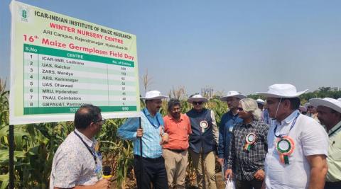 Ви зараз переглядаєте CIMMYT представив у Хайдарабаді 2 286 зразків генплазми кукурудзи для Південної та Південно-Східної Азії