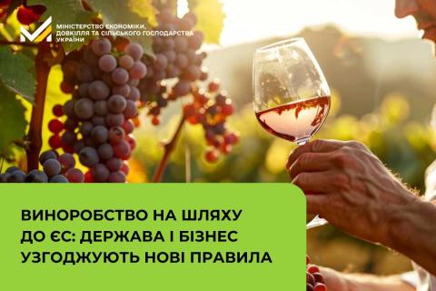 Ви зараз переглядаєте Виноробна галузь готується до нових правил за стандартами ЄС з 2026 року