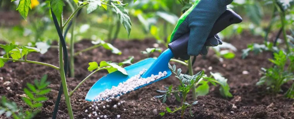 Ви зараз переглядаєте Польща стала одним із стратегічних постачальників міндобрив в Україну на тлі дефіциту