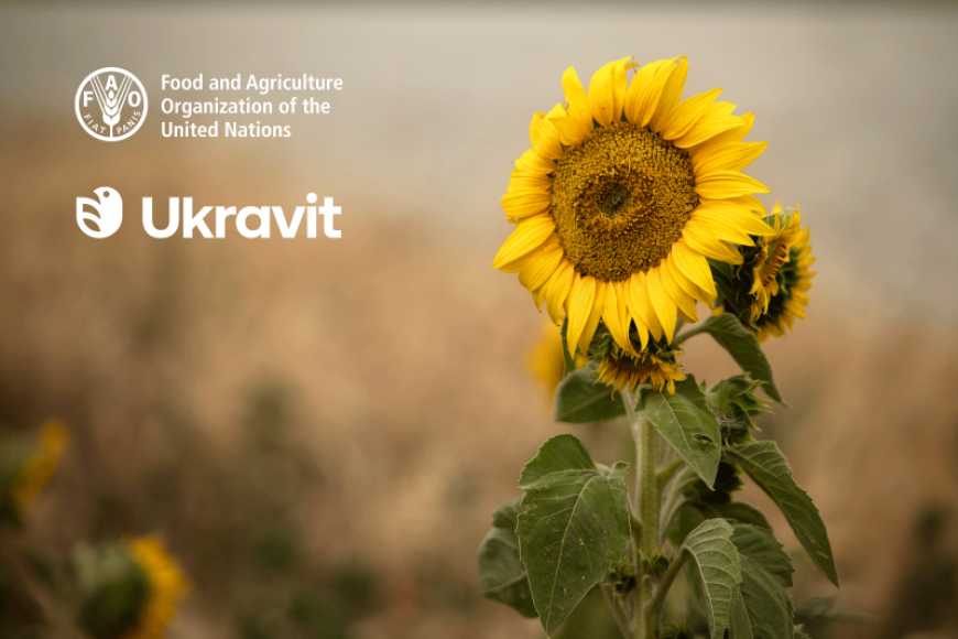 Ви зараз переглядаєте Ukravit і ФАО підтримують фермерів, які постраждали від війни