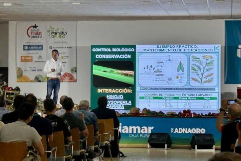 Ви зараз переглядаєте На Expo Levante 2026 представили оновлений протокол біоконтролю Thrips parvispinus у тепличних культурах