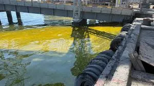 Ви зараз переглядаєте Площа олійної плями в акваторії Чорного після обстрілу порту становинь 35,7 кв км