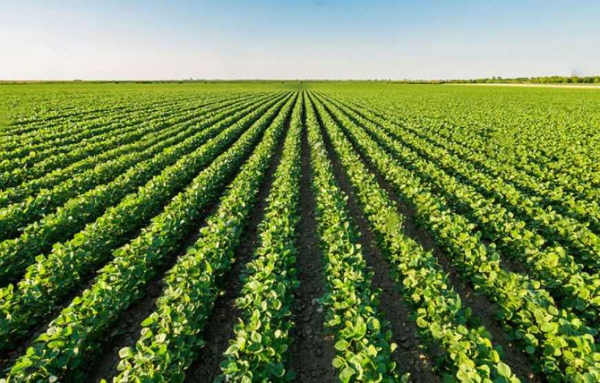 Ви зараз переглядаєте Як покращити якість обприскувань?