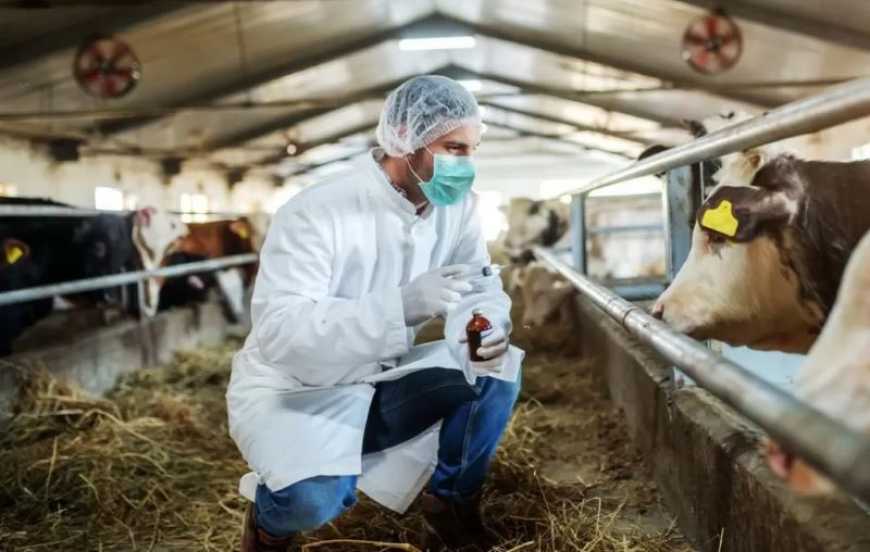 Ви зараз переглядаєте Бізнес закликає визнати ветеринарні GMP сертифікати ЄС та результати тестування серій ветеринарних лікарських засобів