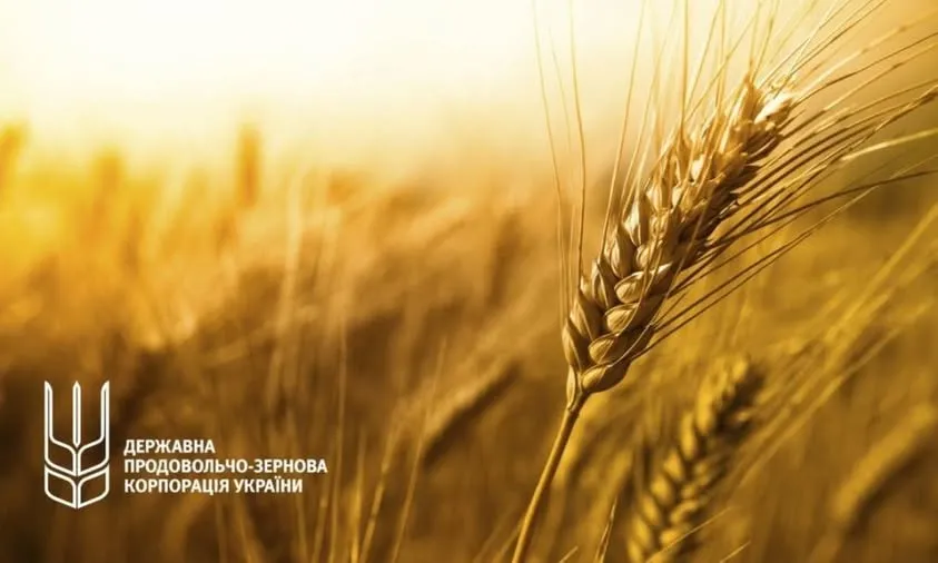 Ви зараз переглядаєте Викрито масштабну корупційну схему заволодіння зерном ДПЗКУ
