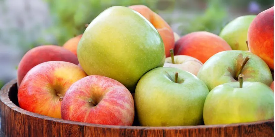 Ви зараз переглядаєте Попит на українські яблука зміщується у бік країн Центральної Азії