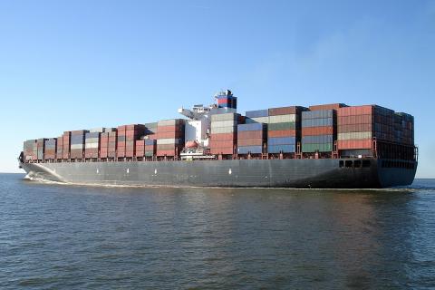 Ви зараз переглядаєте Проблеми з експортом південноафриканських кам’янистих фруктів: 167 контейнерів затримано на морі