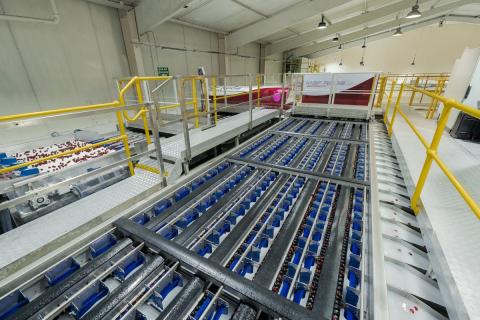 Ви зараз переглядаєте Maf Roda впроваджує алгоритми штучного інтелекту для покращення якості фруктів і овочів