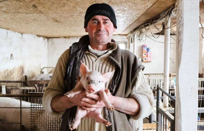 Ви зараз переглядаєте На Одещині колишній ветеринар відкрив власну ферму з розведення поросят