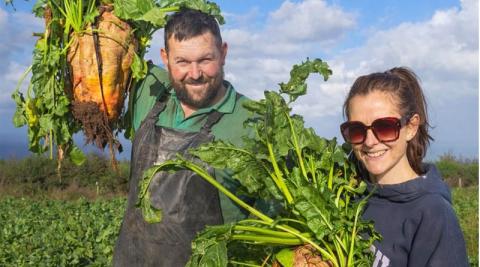Ви зараз переглядаєте Живлення та контроль хвороб допомогли підняти врожайність кормових буряків на молочній фермі у Великій Британії