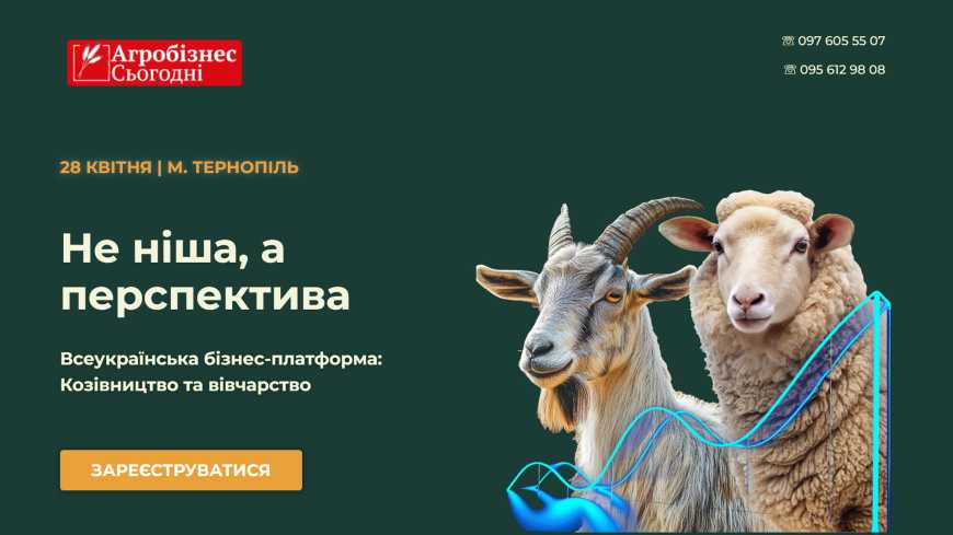 Ви зараз переглядаєте «Не ніша, а перспектива». Козівництво та вівчарство: програма Всеукраїнської бізнес-платформи