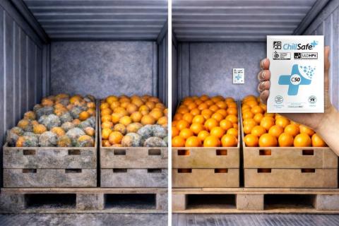 Ви зараз переглядаєте ChillSafe: додатковий захист для фруктів під час транспортування