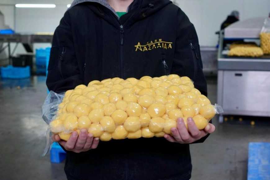 Ви зараз переглядаєте На Житомирщині господарство почало власну переробку картоплі