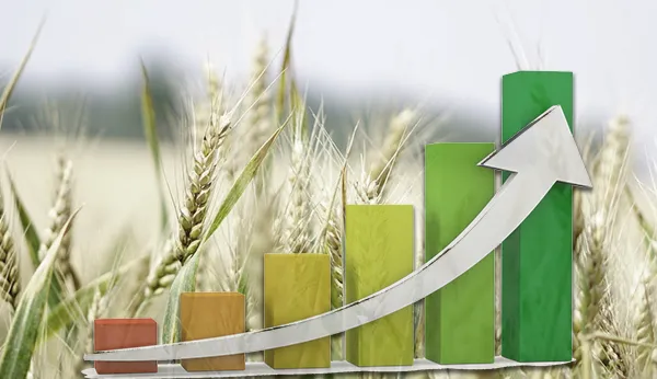 Ви зараз переглядаєте Україна наростила експорт агропродукції на 11%