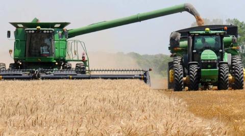 Ви зараз переглядаєте Фермерів Канзасу закликають активніше моніторити іржі пшениці через зміну весняних умов