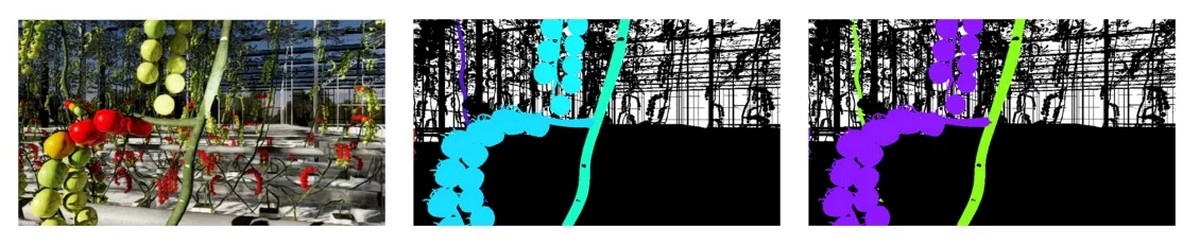 Дослідження в тепличному господарстві: моделювання рослин і взаємодії з роботом