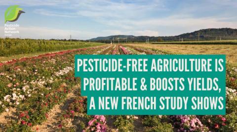 Ви зараз переглядаєте 10-річне дослідження INRAE у Франції: безпестицидні системи можуть бути прибутковими, але врожайність нестабільна через бур’яни та посуху