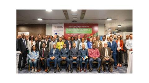 Ви зараз переглядаєте ФАО підтвердила підтримку Кот-д’Івуару та Гани у протидії вірусу набряку пагонів какао