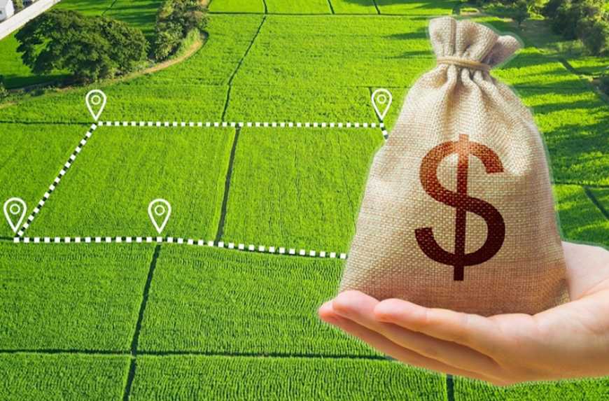 Ви зараз переглядаєте Оцінка сільгоспземель: уряд змінює методику нормативної грошової оцінки