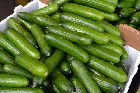 Ви зараз переглядаєте Спалах сальмонели в огірках у США: 69 випадків у 2025 році