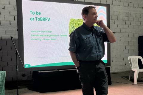 Hazera заявила про розширення портфеля томатів зі стійкістю до ToBRFV Рис.1