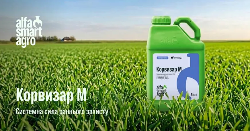 Захист у Т1: контроль зимуючої і ранньовесняної інфекції4