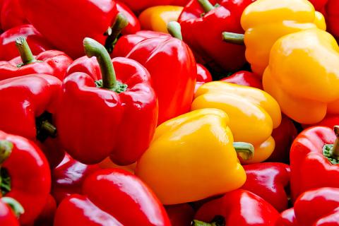 Ви зараз переглядаєте Швидка доставка свіжих овочів з Китаю до Казахстану за 12 годин