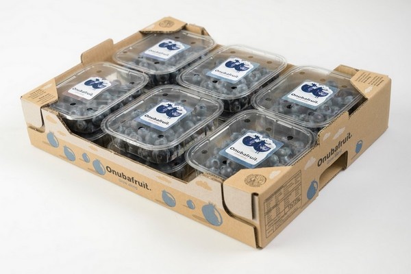 Нові сорти чорниці від Onubafruit