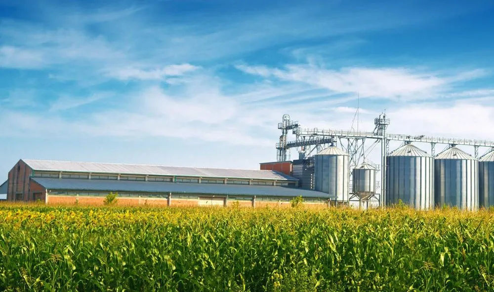 Ви зараз переглядаєте Аграрні підприємства суттєво збільшили обсяги зберігання зернових культур