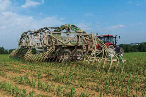 Ви зараз переглядаєте Оптимізація добрив для кукурудзи: нові моделі та технології