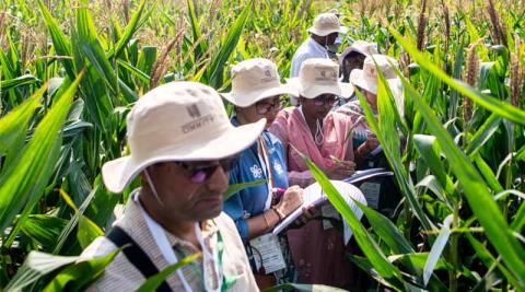 Ви зараз переглядаєте Інновації в кукурудзі: ICAR-IIMR та CIMMYT демонструють досягнення на “Днях кукурудзи” в Індії