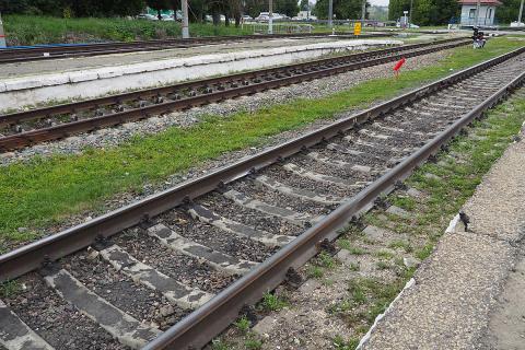 Ви зараз переглядаєте Індія запускає вантажний поїзд для перевезення фруктів із Кашміру до Нью-Делі