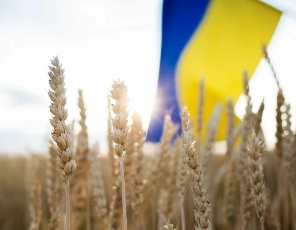 Ви зараз переглядаєте Куди йде українське зерно: нові лідери серед покупців